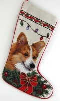 Corgi